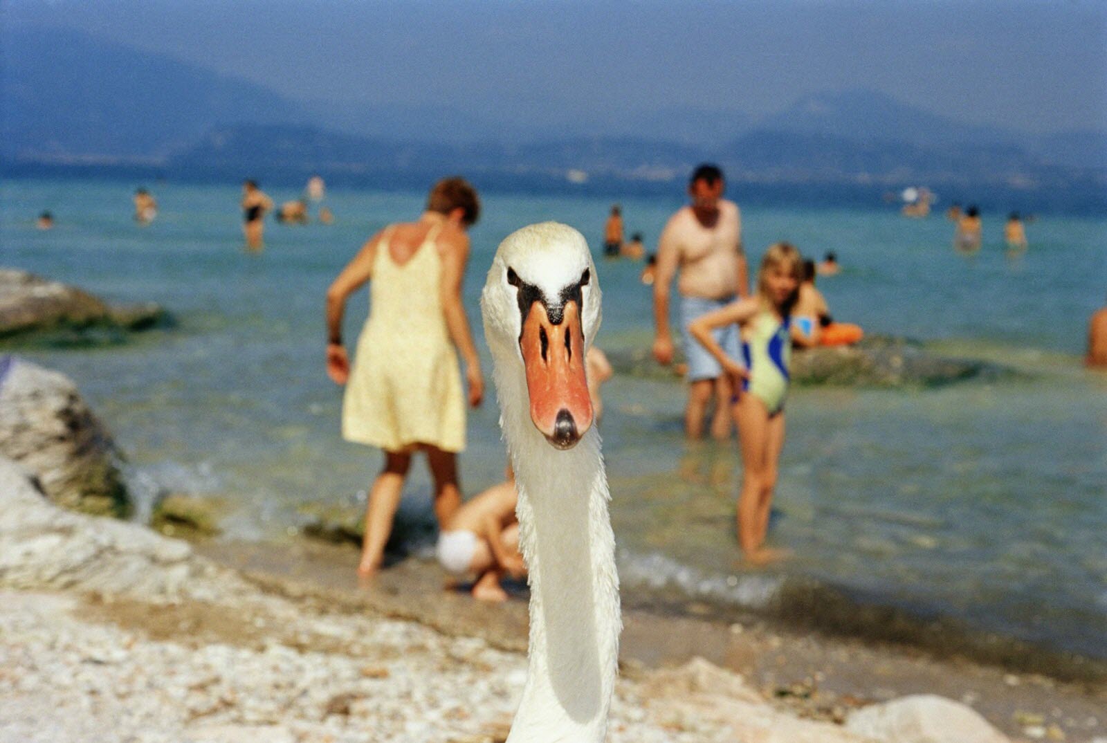 Photographie de Martin Parr